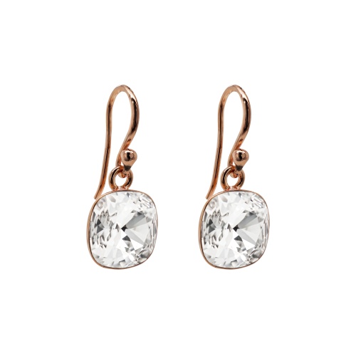 Fancy Stone earrings