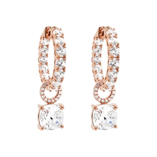 Fancy Stone charm earrings Crystal