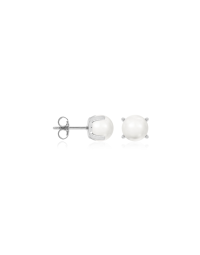Classic Freshwater Pearl studs 6mm