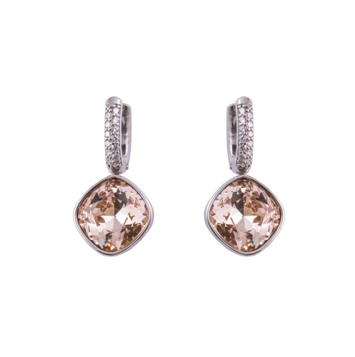 Fancy Stone Earrings