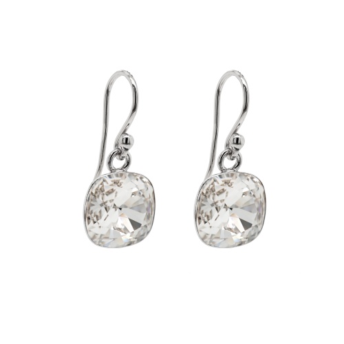 Fancy Stone earrings