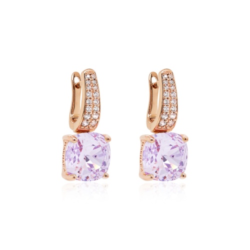 Fancy Stone Earrings Violet