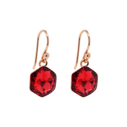 Hexagon Earrings Scarlet