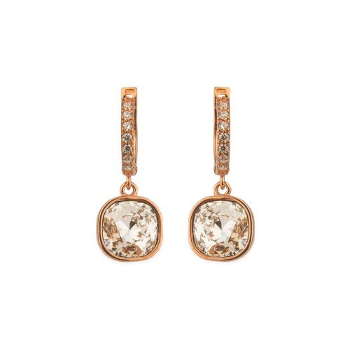Fancy Stone Earrings