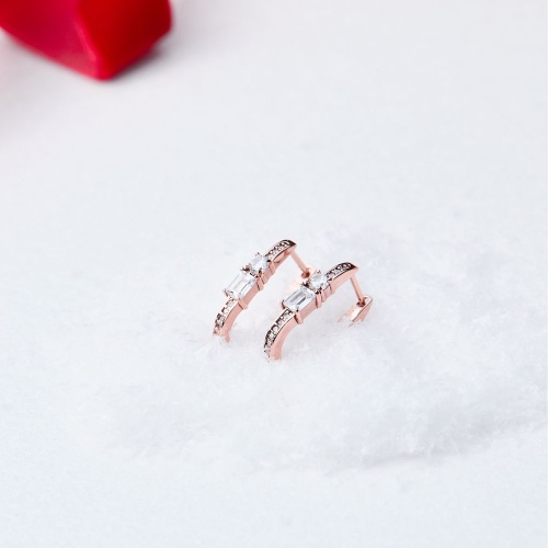 Frostline Hoops rose gold plated