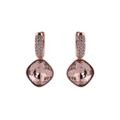 Fancy Stone Earrings