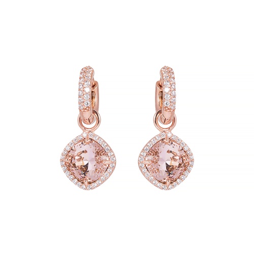 Fancy Stone Charm Earrings