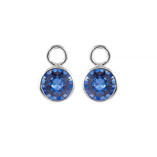 Earring Charms