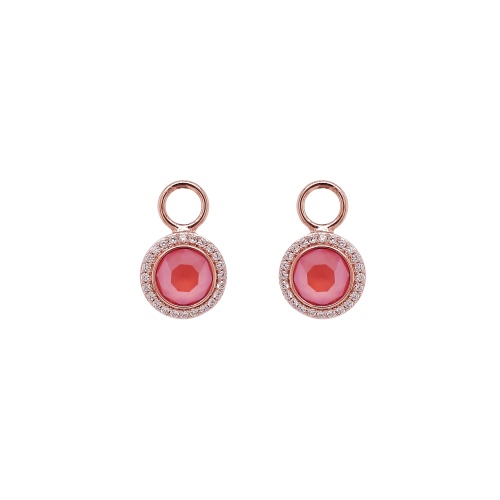 Earring Charms