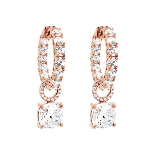 Fancy Stone charm earrings Crystal