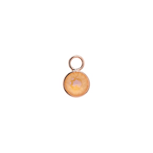 Earring Charm