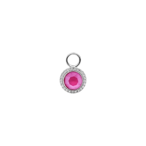 Earring Charm