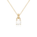Freshwater Pearl Necklace set Yellow gold-plated